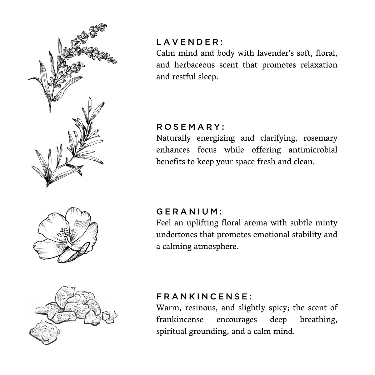 Midnight Garden - Lavender + Rosemary + Geranium Slow North