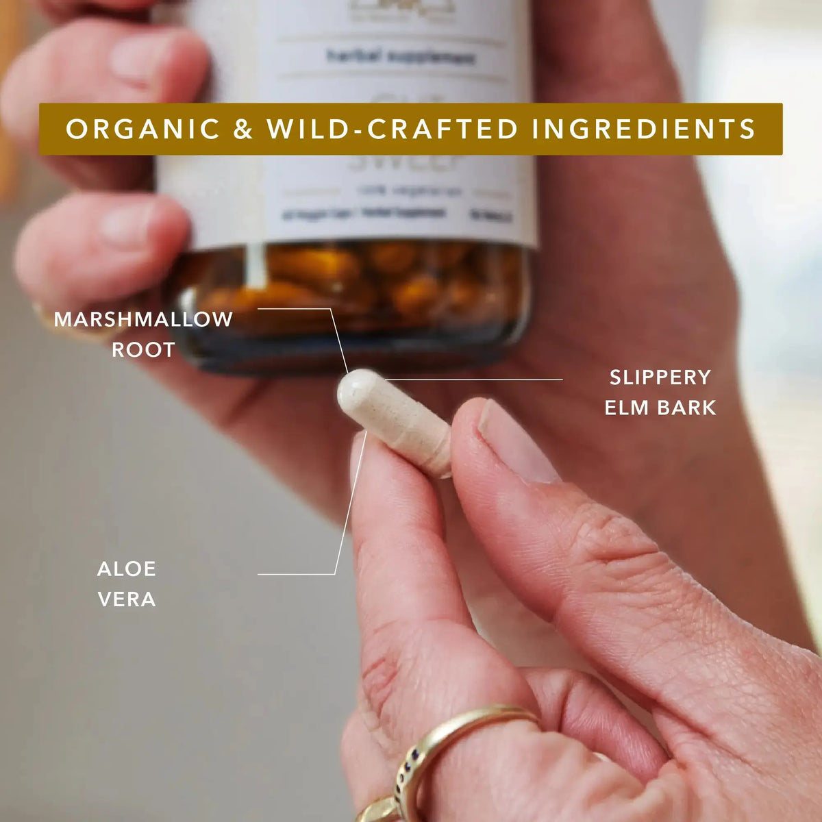 OWL Supplement Kit OWL Venice