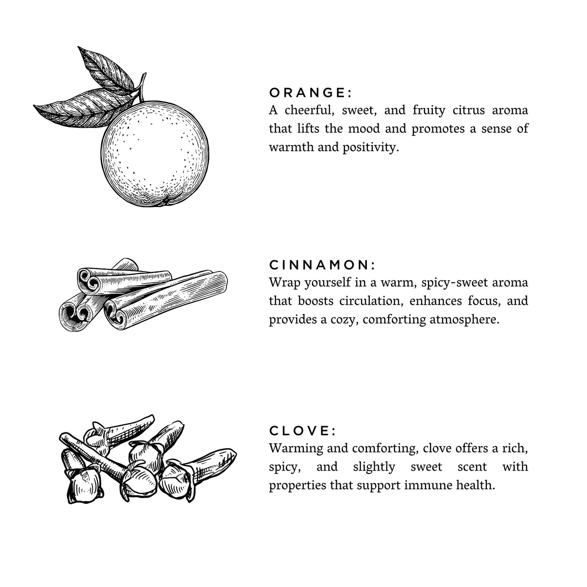 Orange + Clove Slow North