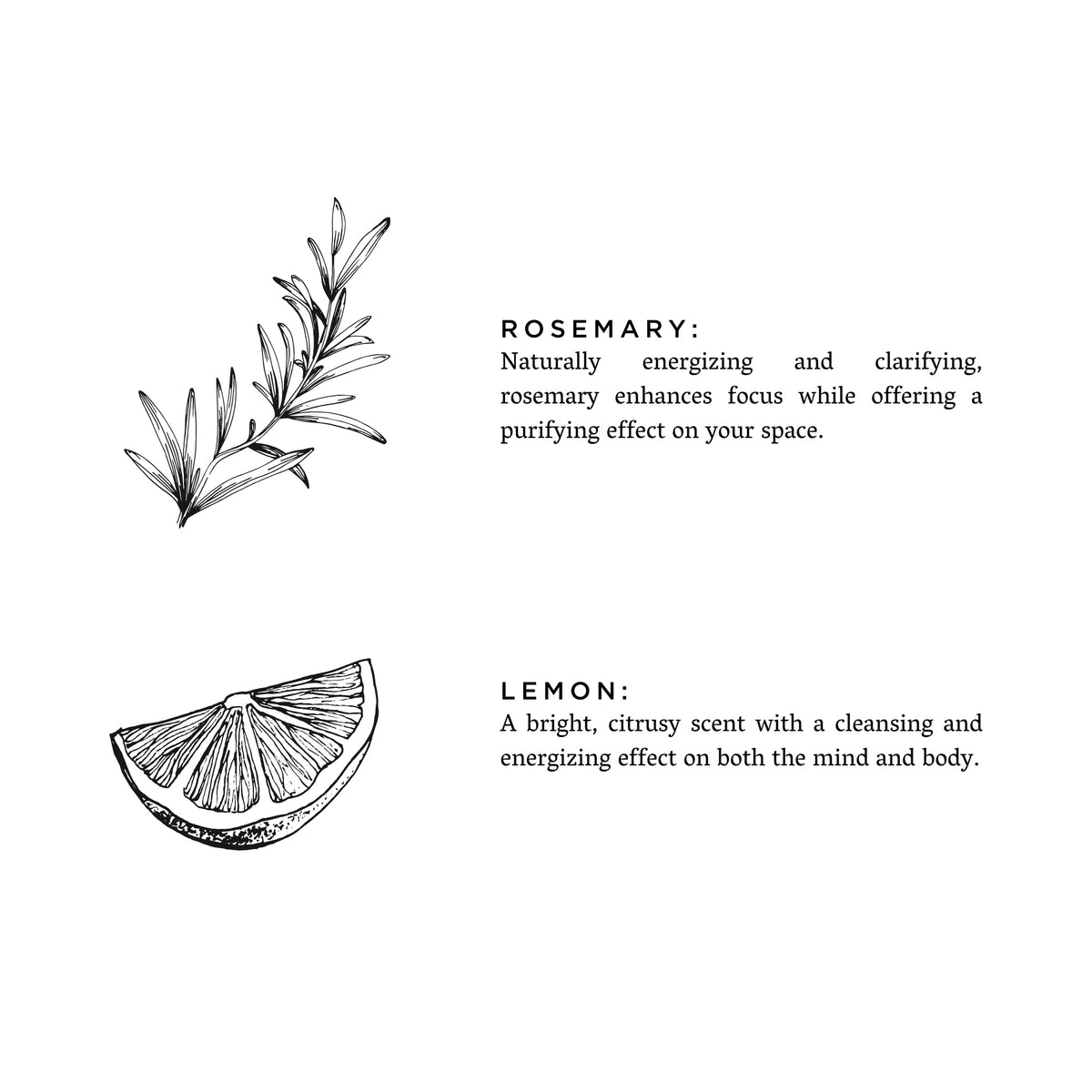 Rosemary + Lemon Slow North