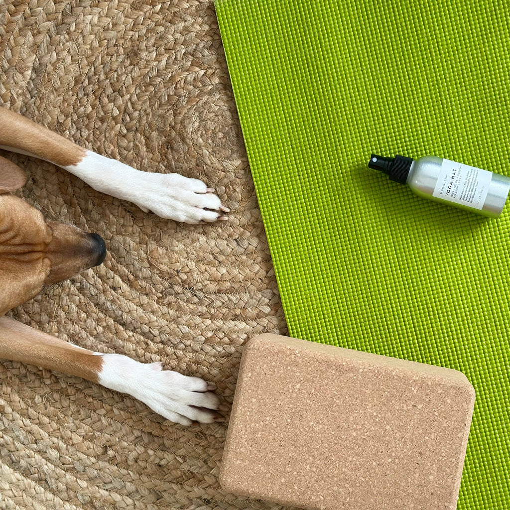 Yoga Mat Spray - Eucalyptus + Rosemary Slow North