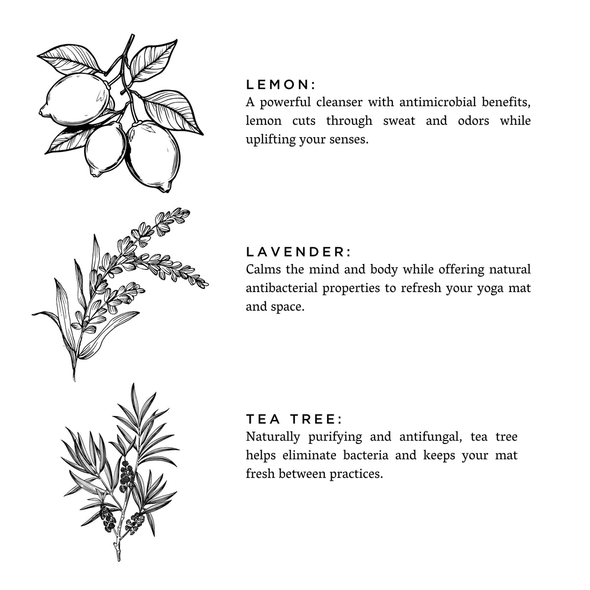 Yoga Mat Spray - Lavender + Lemon Slow North