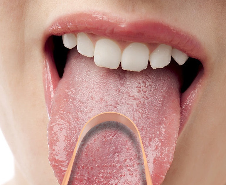 Pure Copper Tongue Scraper | U-Shaped Ayurvedic Oral Care Tool Clarity Global Imports