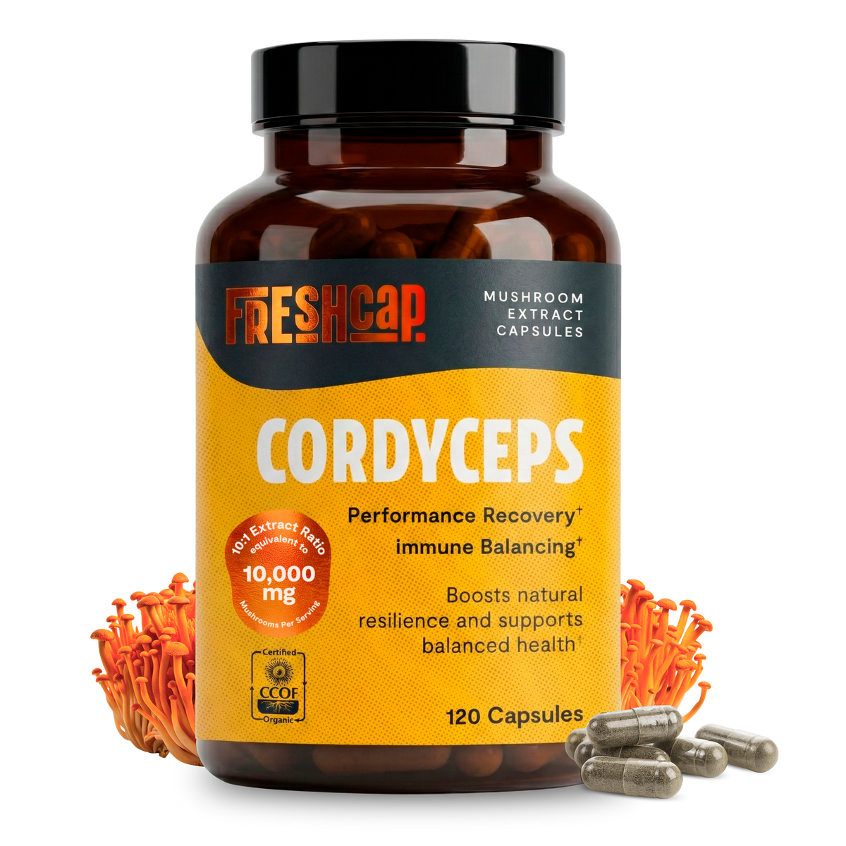 Organic Cordyceps Mushroom Supplement Capsules FreshCap Mushrooms