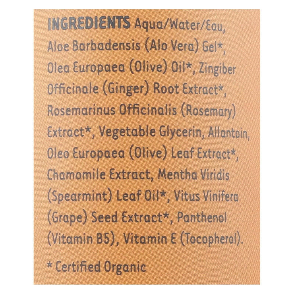 Organic Excellence Wild Mint Conditioner - 16 Oz EasyOptionXY