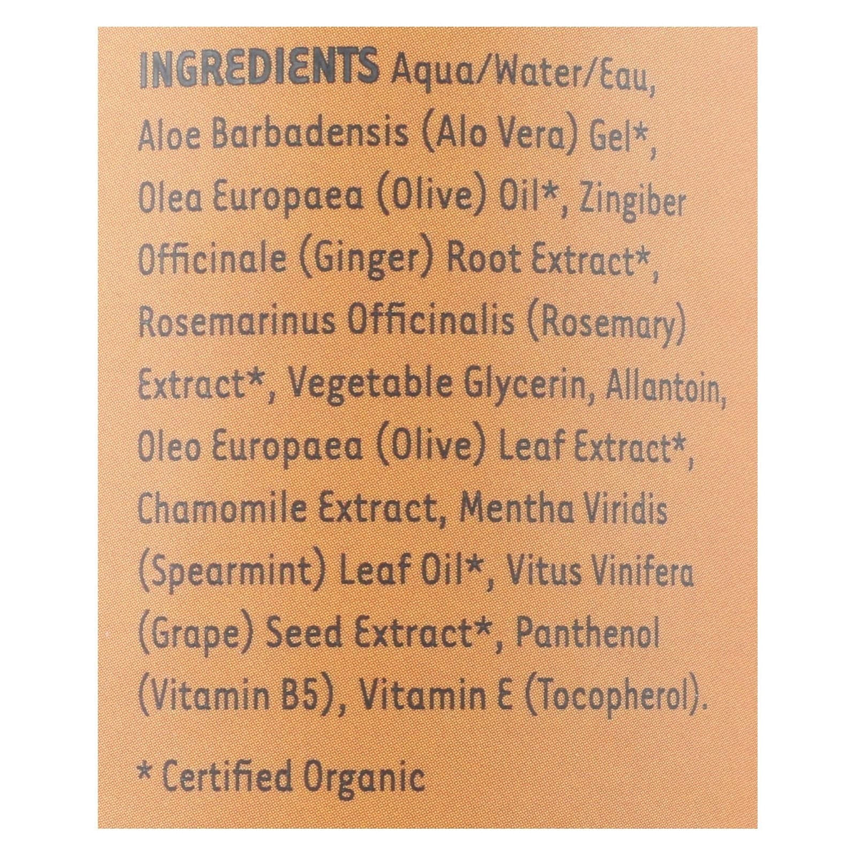 Organic Excellence Wild Mint Conditioner - 16 Oz EasyOptionXY